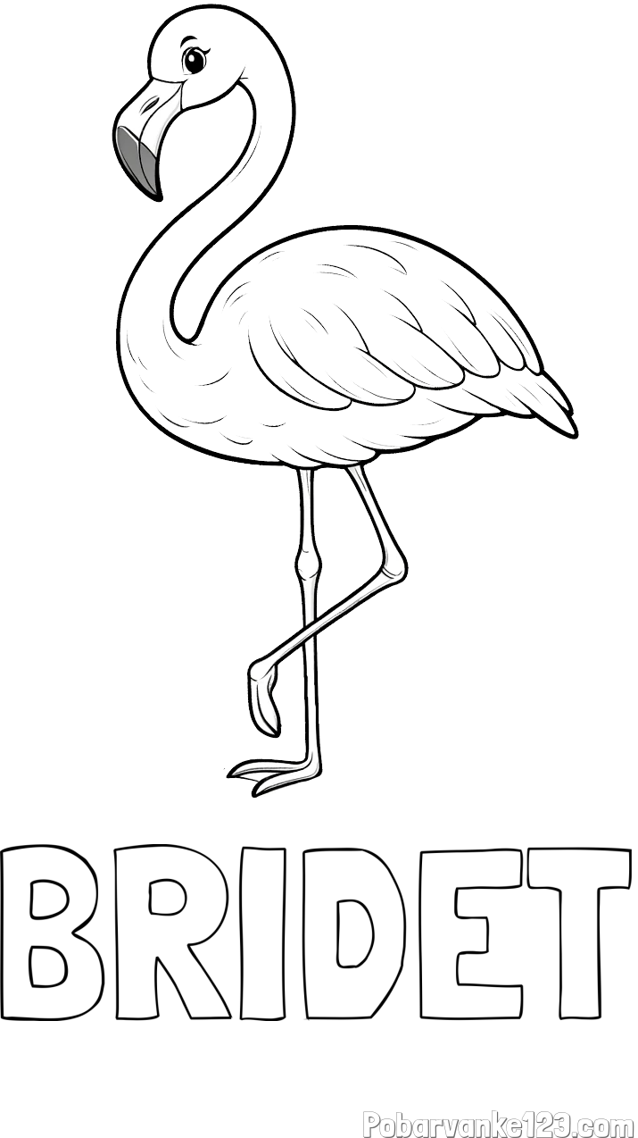 Pobarvanka imena BRIĐET in pobarvanka flaminga