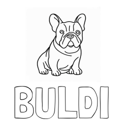 Online izdelana pobarvanka - Pobarvanka imena BULDI in pobarvanka francoskega buldoga