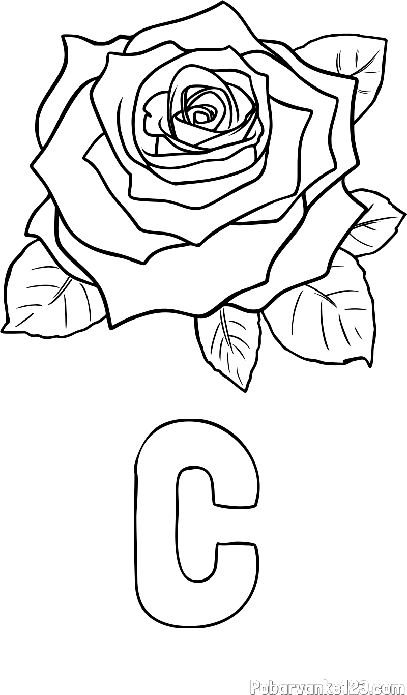 Pobarvanka imena C in pobarvanka vrtnice