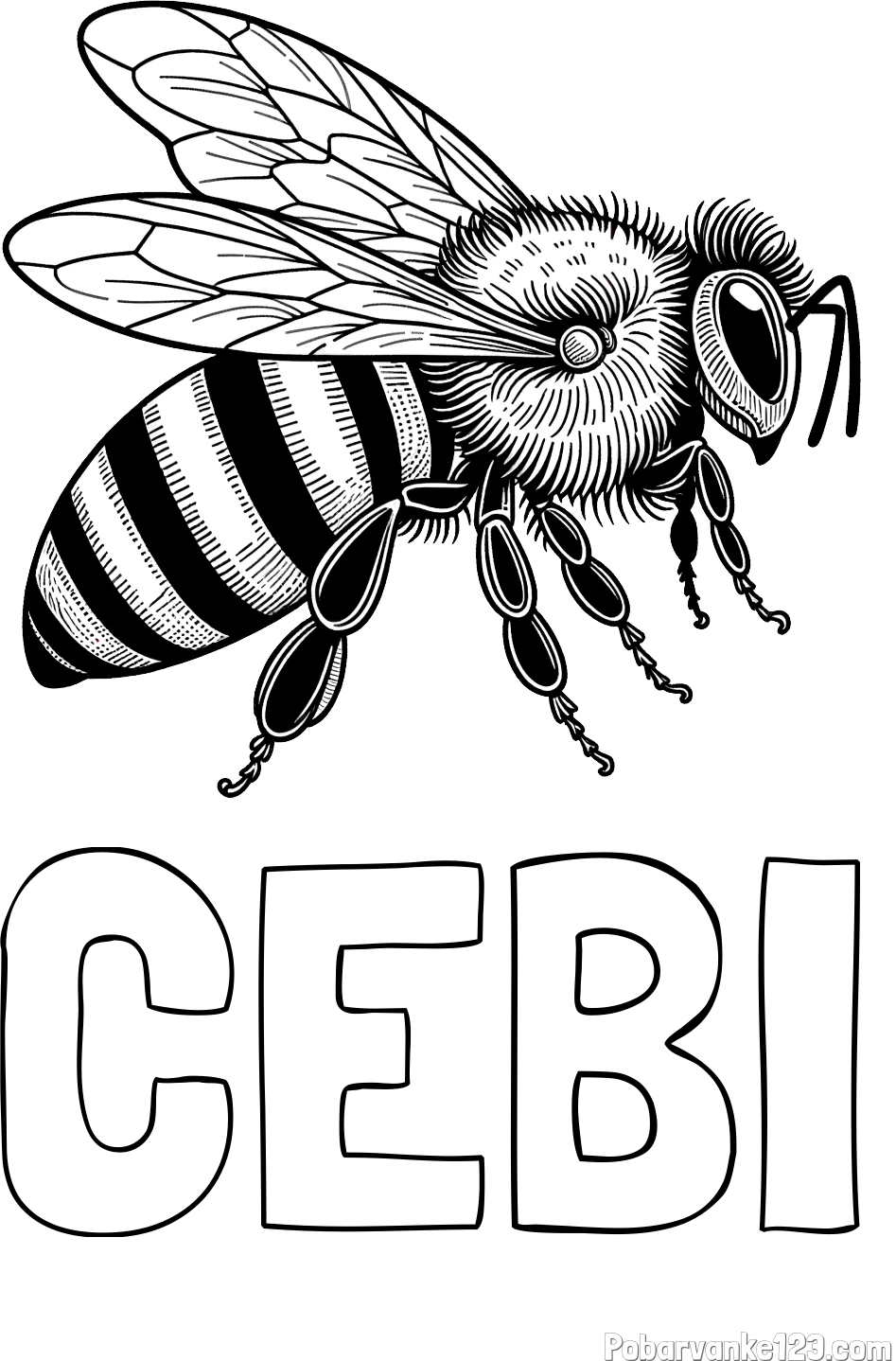 Pobarvanka imena ČEBI in pobarvanka realistične čebele