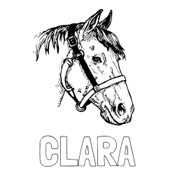 Online izdelana pobarvanka - Pobarvanka imena CLARA in konjska glava