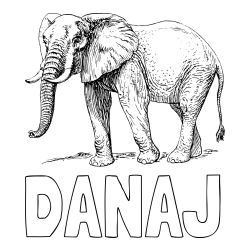 Online izdelana pobarvanka - Pobarvanka imena DANAJ in pobarvanka mogočnega slona