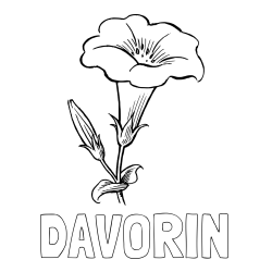 Online izdelana pobarvanka - Pobarvanka imena DAVORIN in pobarvanka rože Gamopetalous