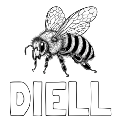 Online izdelana pobarvanka - Pobarvanka imena DIELL in pobarvanka lepe in realistično oblikovane čebele