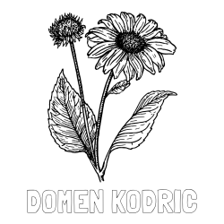 Online izdelana pobarvanka - Pobarvanka imena DOMEN KODRIC in pobarvanka sončnice