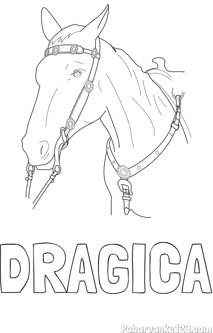 Pobarvanka imena DRAGICA in pobarvanka konjske glave