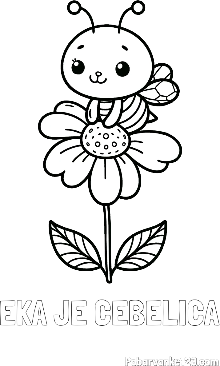 Pobarvanka imena EKA JE ČEBELICA in pobarvanka ljubke čebelice na roži