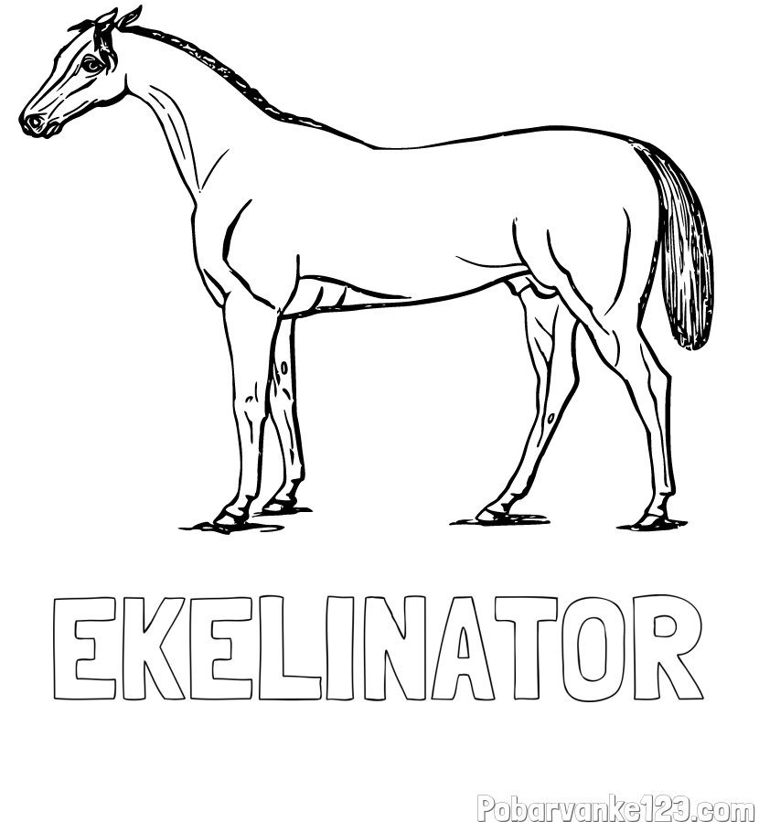 Pobarvanka imena EKELINATOR in pobarvanka konja