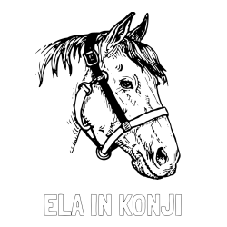 Online izdelana pobarvanka - Pobarvanka imena ELA IN KONJI in konjska glava
