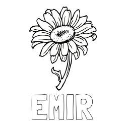 Online izdelana pobarvanka - Pobarvanka imena EMIR in pobarvanka lepe sončnice