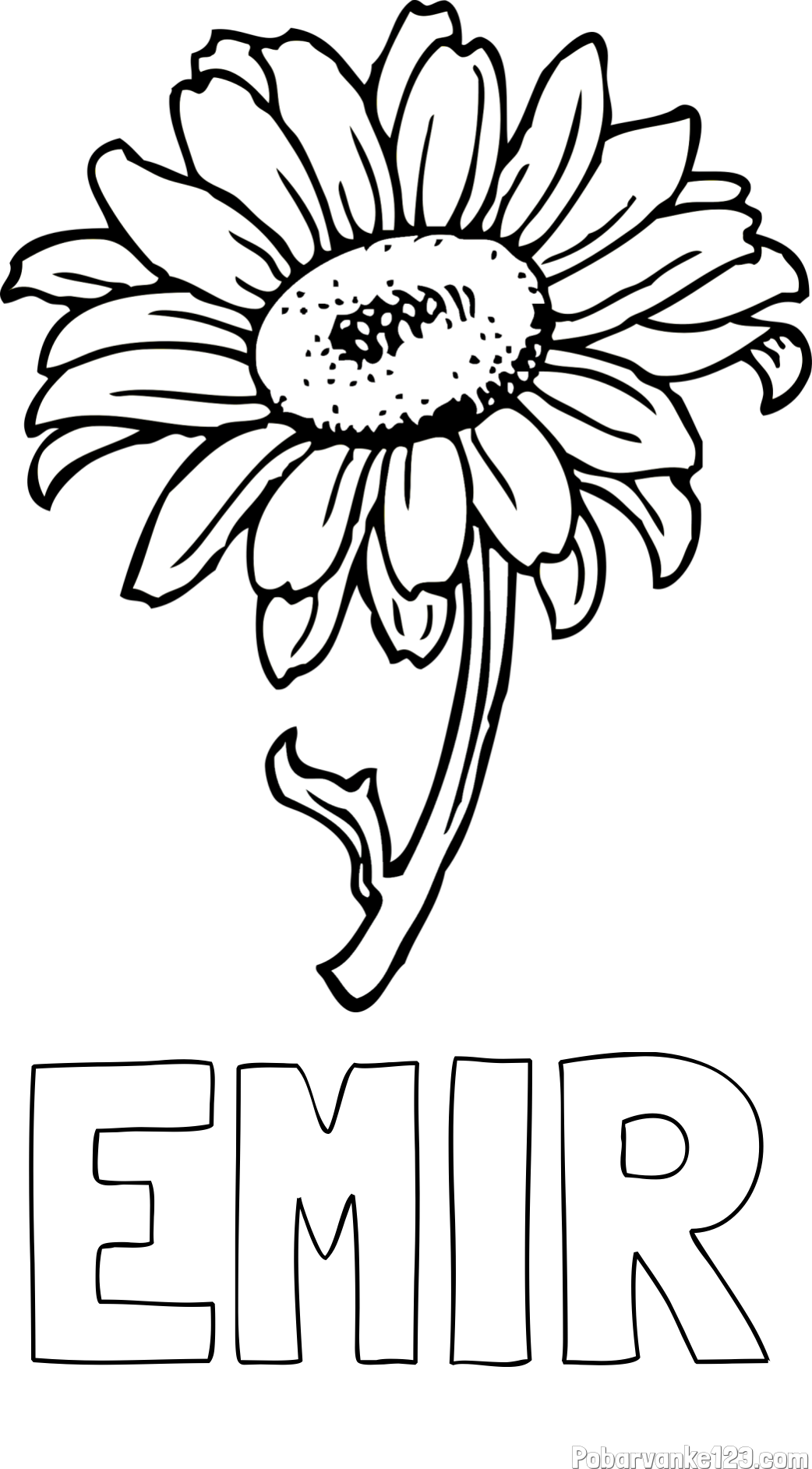 Pobarvanka imena EMIR in pobarvanka lepe sončnice