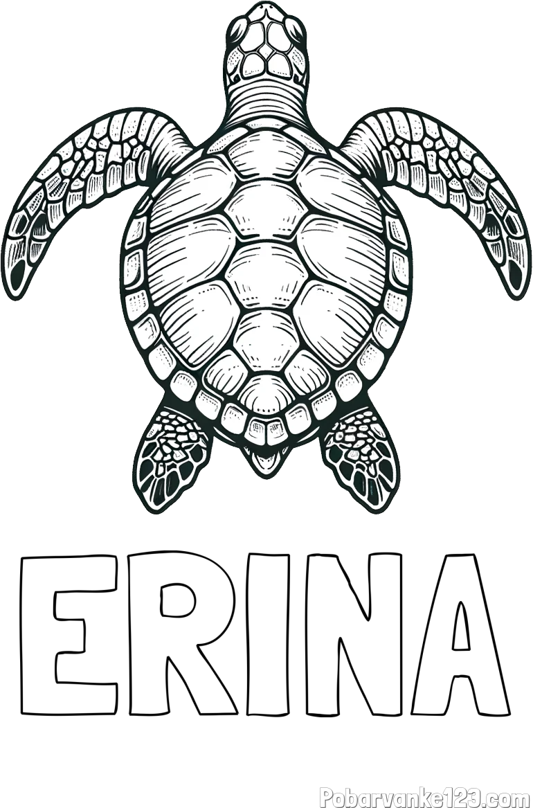 Pobarvanka imena ERINA in enostavna pobarvanka želve