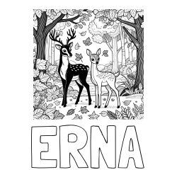 Online izdelana pobarvanka - Pobarvanka imena ERNA in pobarvanka srnice in jelenčka