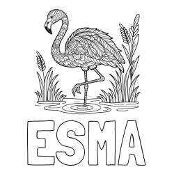 Online izdelana pobarvanka - Pobarvanka imena ESMA in pobarvanka flaminga z abstraktnimi vzorci