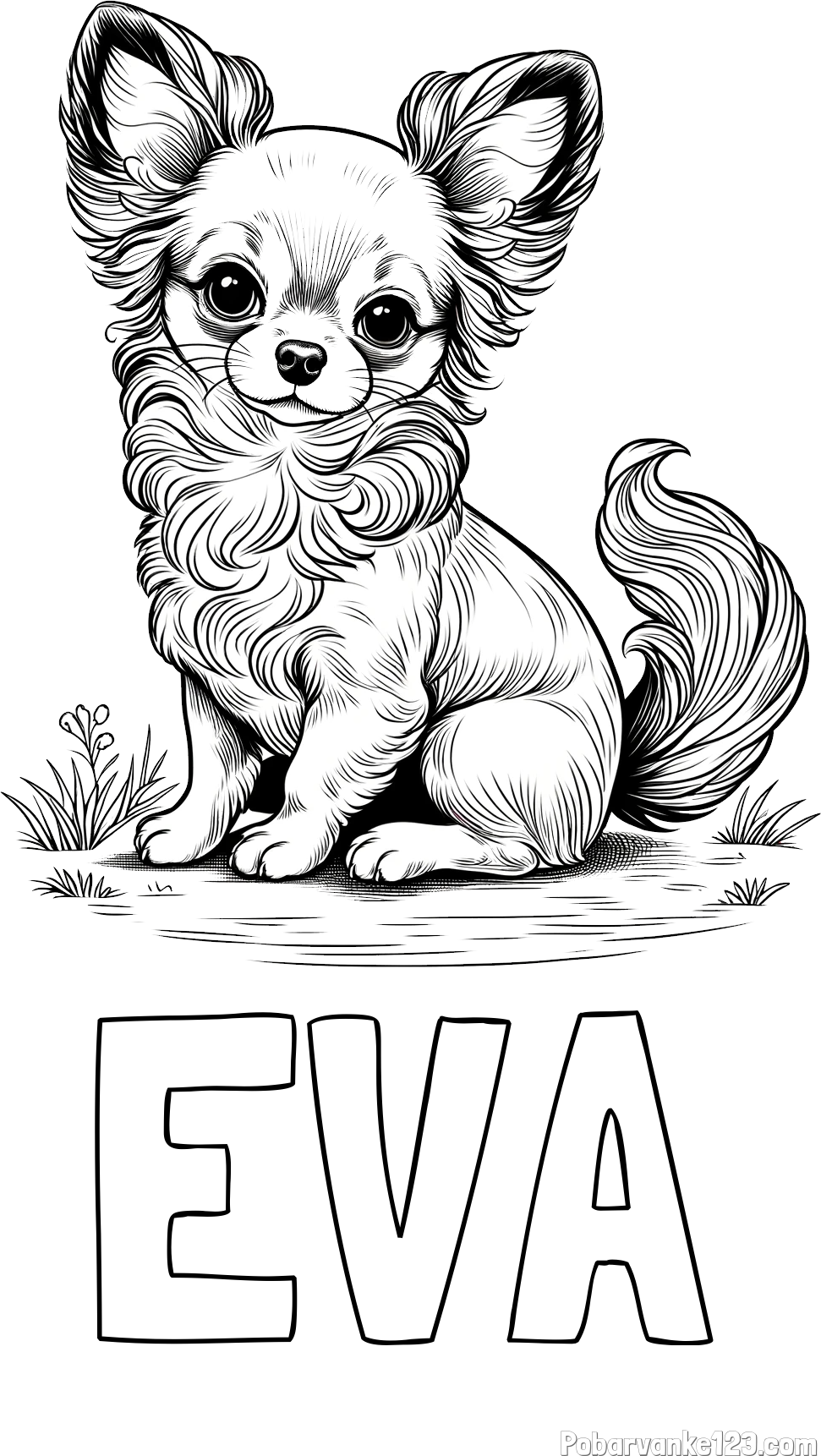 Pobarvanka imena EVA in pobarvanka ljubke čivave