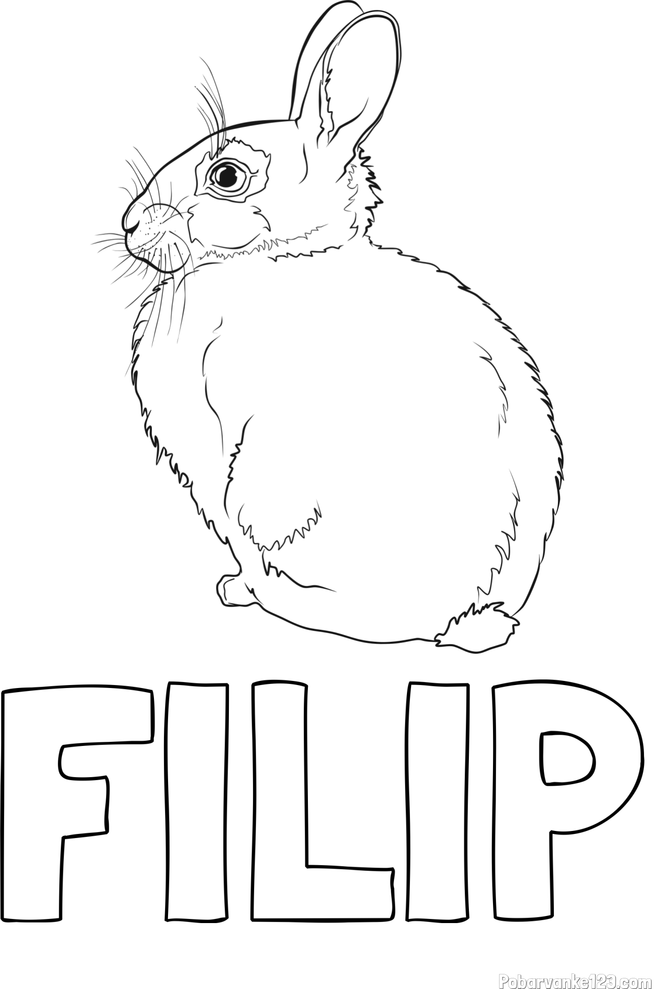 Pobarvanka imena FILIP in pobarvanka debelega zajca