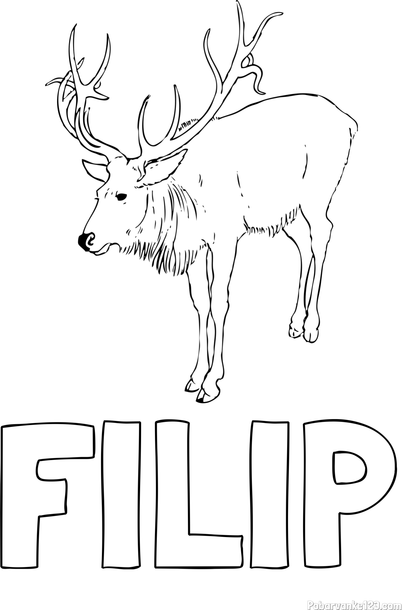 Pobarvanka imena FILIP in pobarvanka velikega jelena