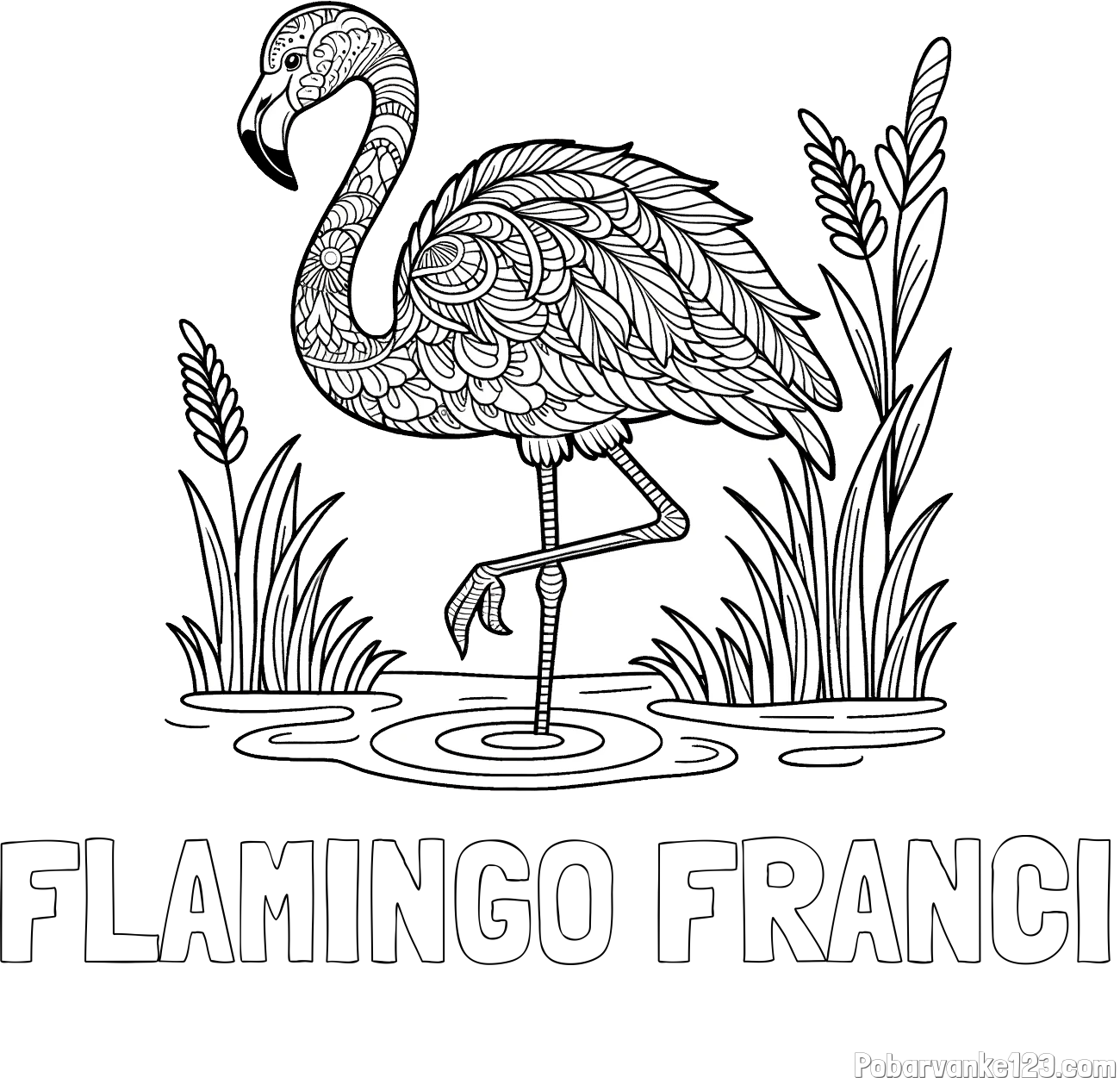 Pobarvanka imena FLAMINGO FRANCI in pobarvanka flaminga z abstraktnimi vzorci