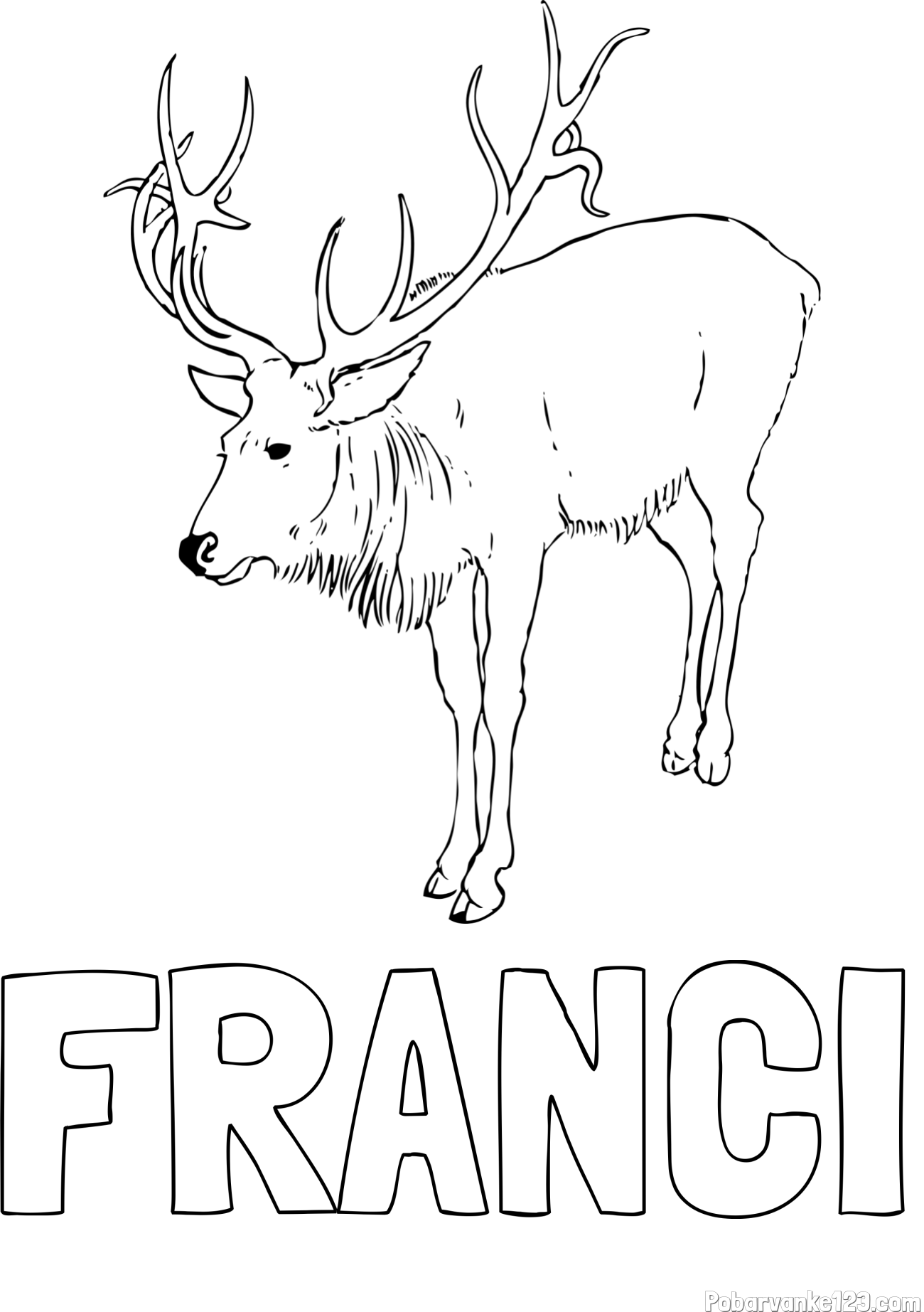 Pobarvanka imena FRANCI in pobarvanka velikega jelena