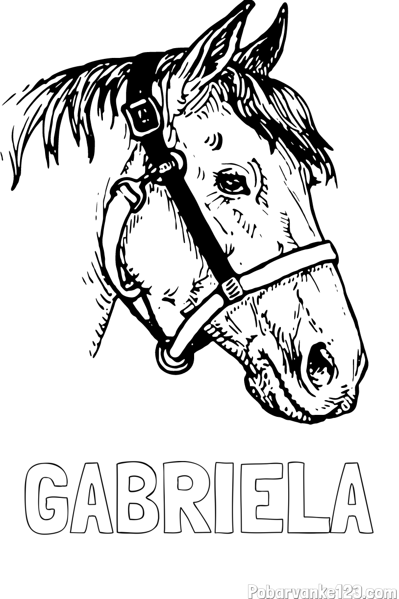 Pobarvanka imena GABRIELA in konjska glava