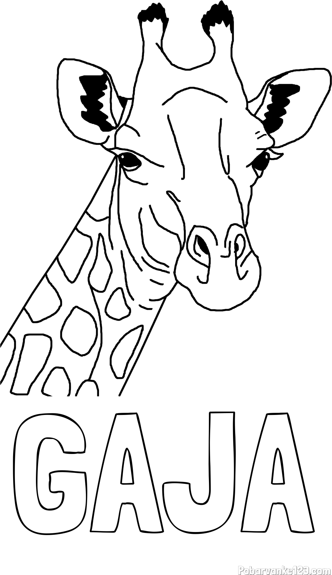 Pobarvanka imena GAJA in lepa pobarvanka žirafje glave