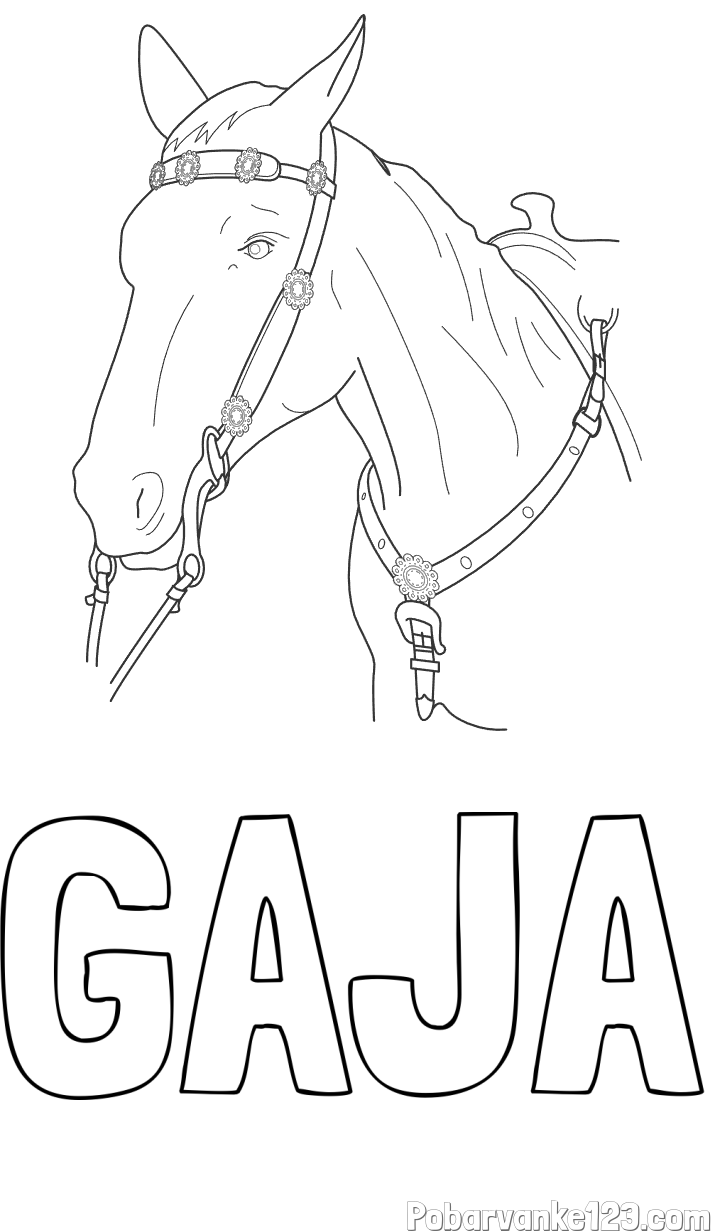 Pobarvanka imena GAJA in pobarvanka konjske glave