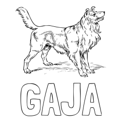 Pobarvanka imena GAJA in pobarvanka prikupnega in prijaznega kužka