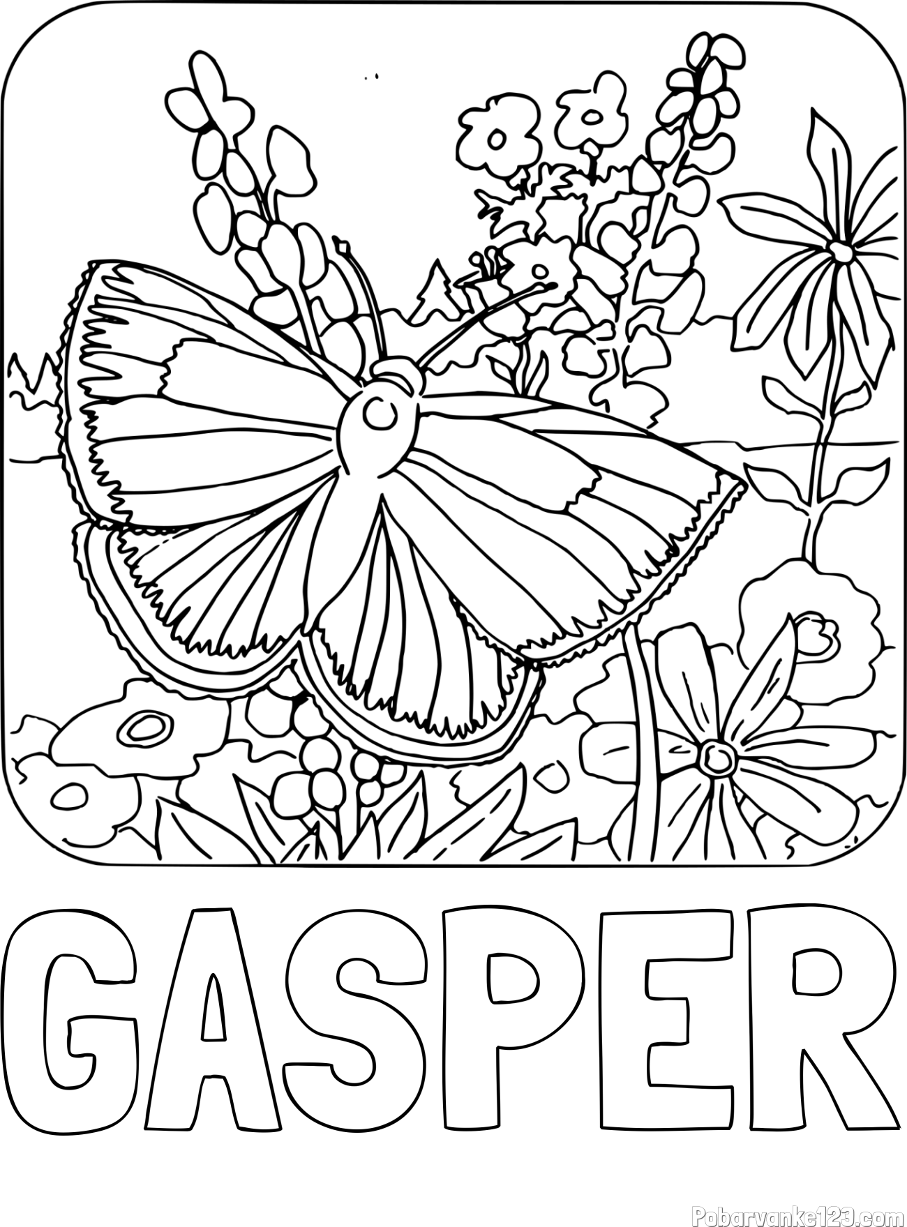 Pobarvanka imena GAŠPER in pobarvanka metulja v naravi