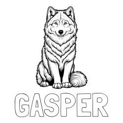 Pobarvanka imena GAŠPER ter ljubkega volka