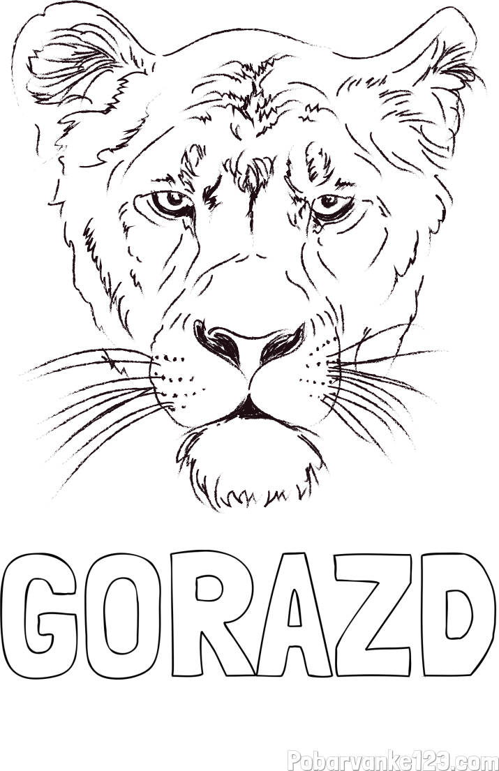 Pobarvanka imena GORAZD in pobarvanka levinje