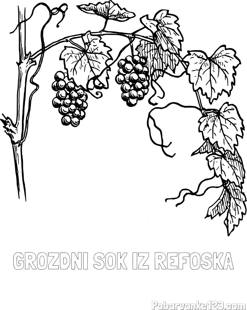 Pobarvanka imena GROZDNI SOK IZ REFOŠKA in pobarvanka vinske trte