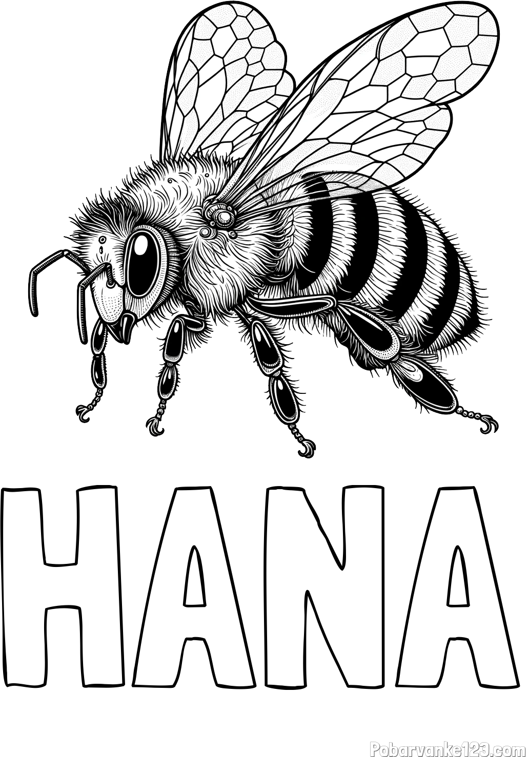 Pobarvanka imena HANA in pobarvanka lepe in realistično oblikovane čebele