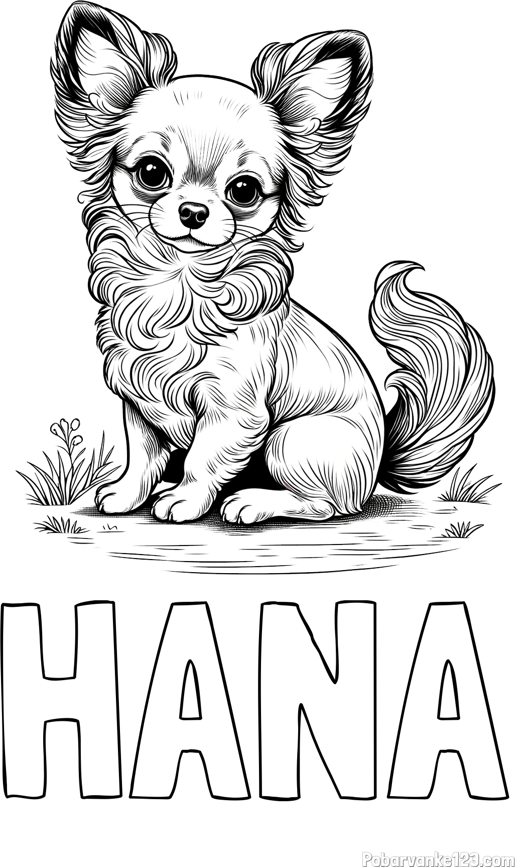 Pobarvanka imena HANA in pobarvanka ljubke čivave