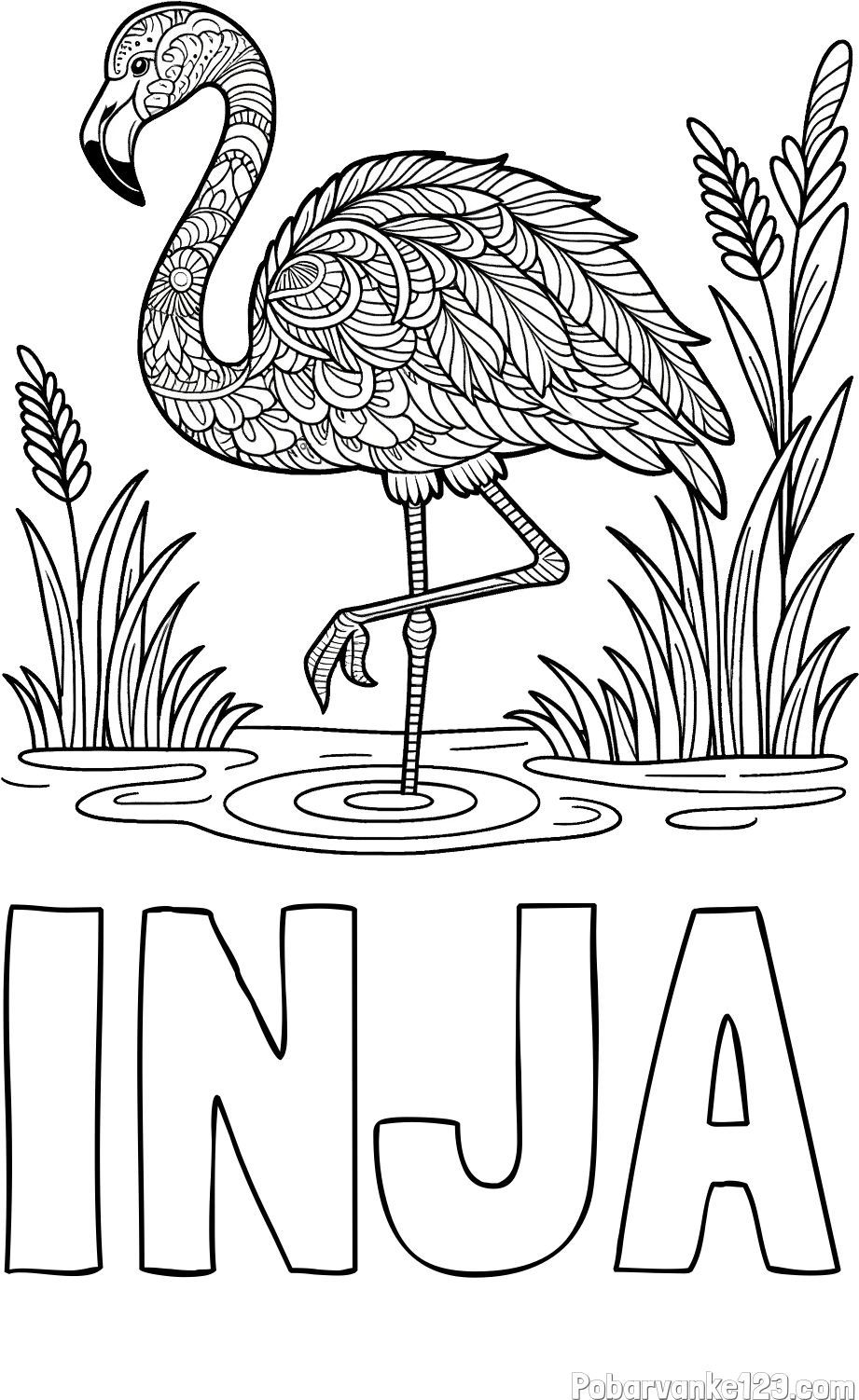 Pobarvanka imena INJA in pobarvanka flaminga z abstraktnimi vzorci