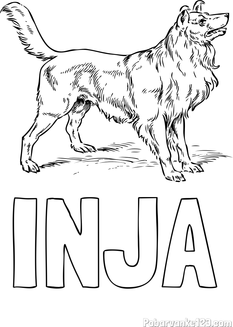 Pobarvanka imena INJA in pobarvanka prikupnega in prijaznega kužka