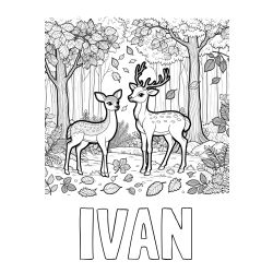 Pobarvanka imena IVAN