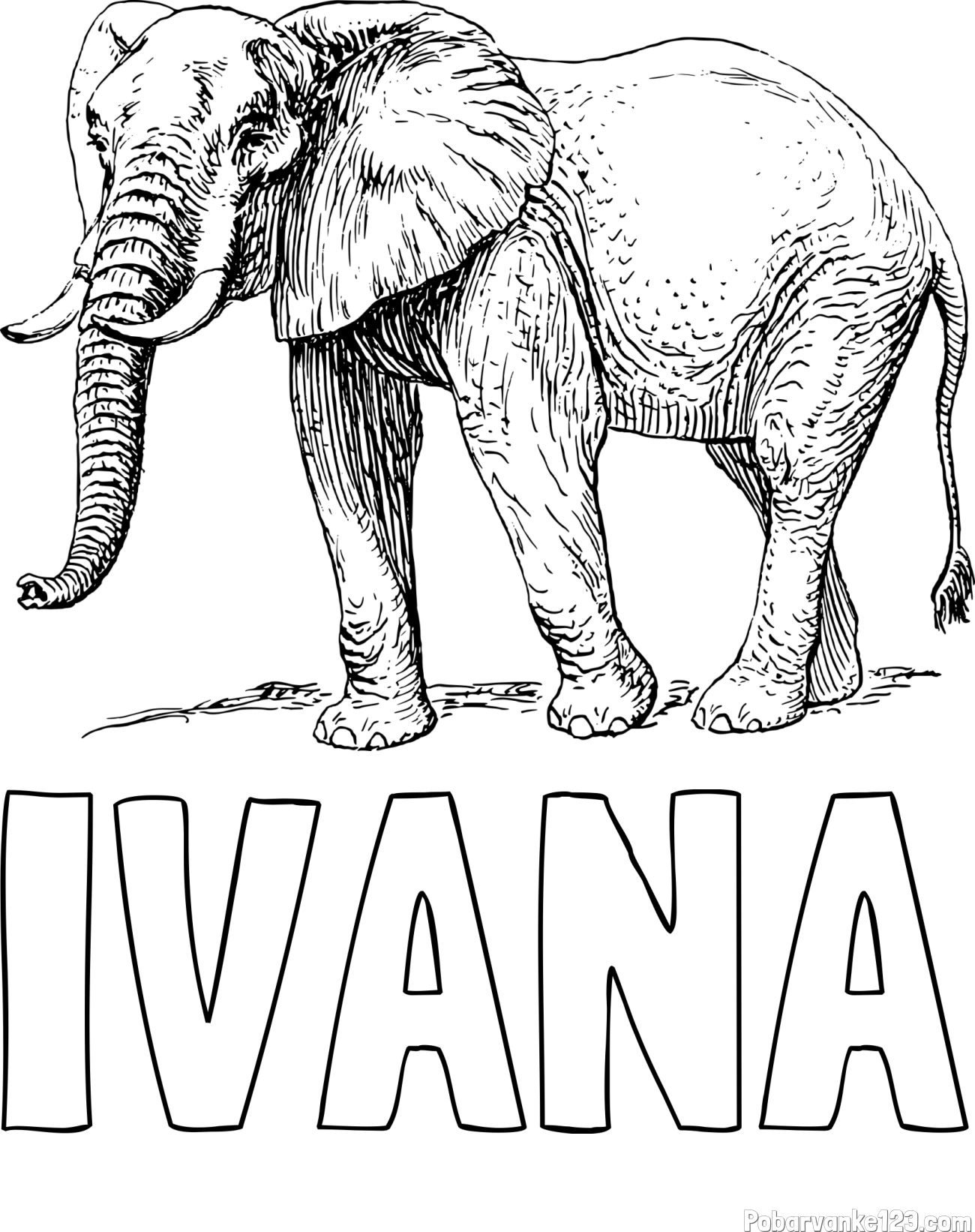 Pobarvanka imena IVANA in pobarvanka mogočnega slona
