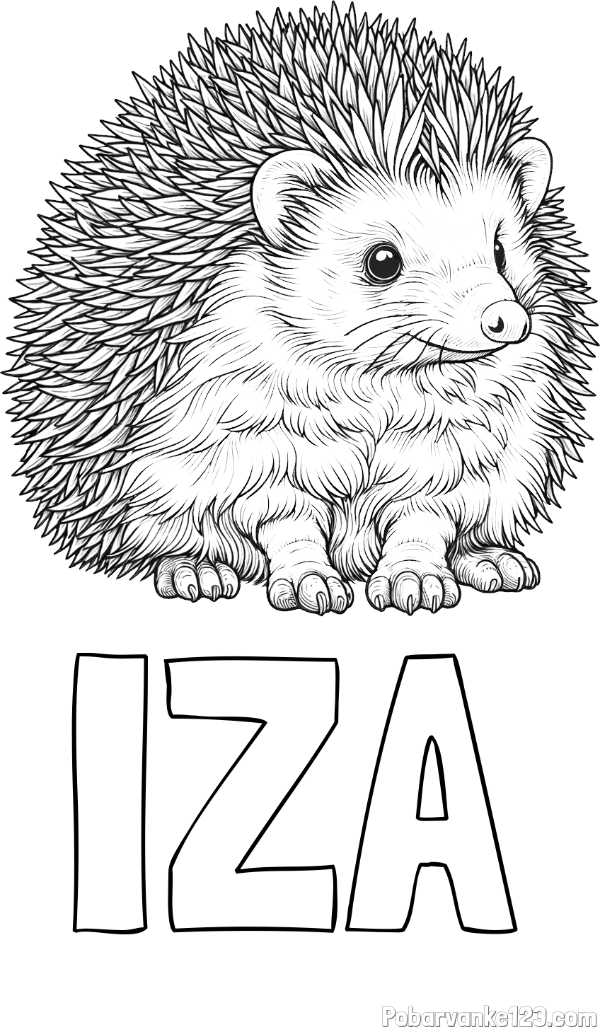 Pobarvanka imena IZA in pobarvanka nasmejanega ježa