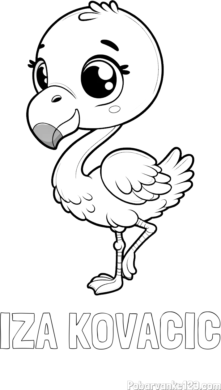 Pobarvanka imena IZA KOVAČIČ in otroška pobarvanka flaminga