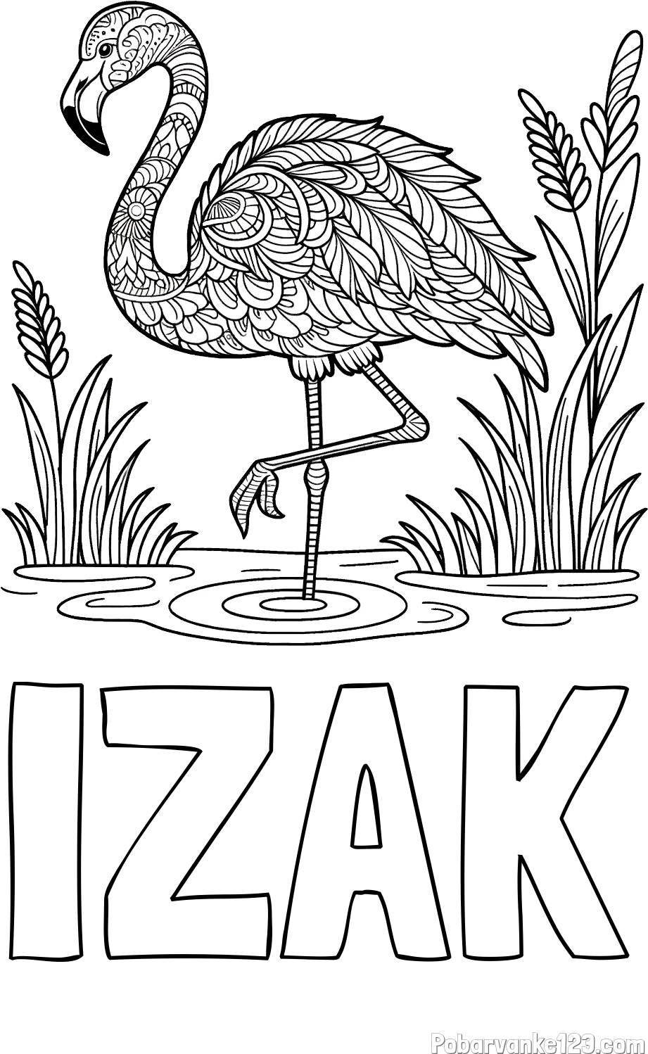 Pobarvanka imena IZAK in pobarvanka flaminga z abstraktnimi vzorci