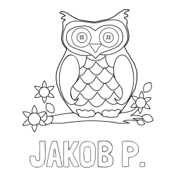 Online izdelana pobarvanka - Pobarvanka imena JAKOB P. in pobarvanka sove
