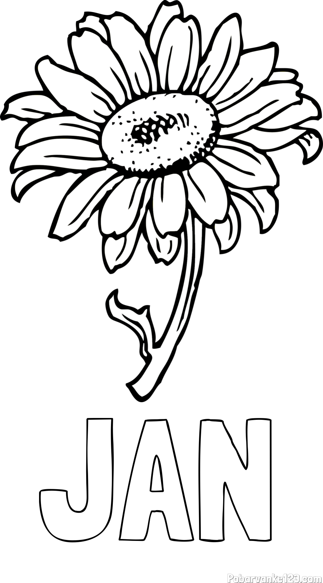Pobarvanka imena JAN in pobarvanka lepe sončnice