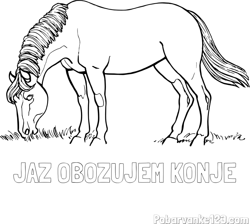 Pobarvanka imena JAZ OBOZUJEM KONJE in pobarvanka konja med pašo