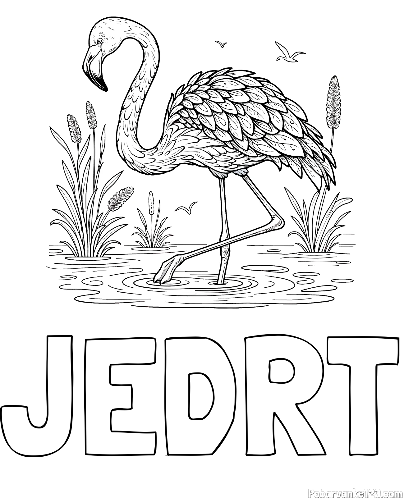 Pobarvanka imena JEDRT in pobarvanka flaminga v močvirju