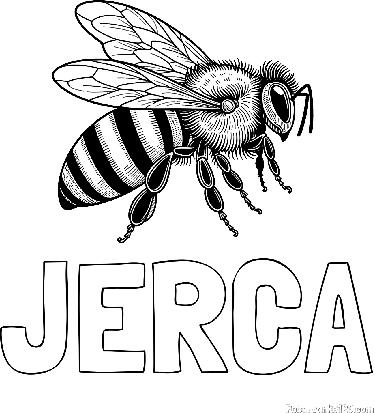 Pobarvanka imena JERCA in pobarvanka realistične čebele