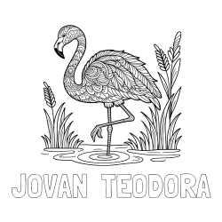 Online izdelana pobarvanka - Pobarvanka imena JOVAN  TEODORA in pobarvanka flaminga z abstraktnimi vzorci
