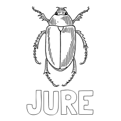 Online izdelana pobarvanka - Pobarvanka imena JURE in pobarvanka hrošča