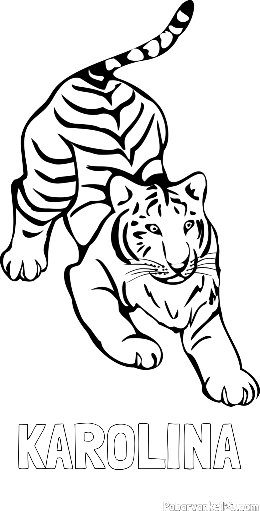 Pobarvanka imena KAROLINA in pobarvanka velikega tigra