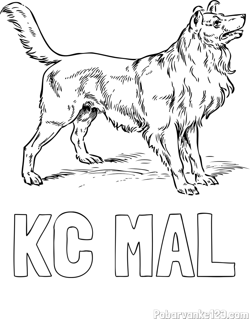 Pobarvanka imena KC MAL in pobarvanka prikupnega in prijaznega kužka