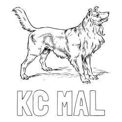 Online izdelana pobarvanka - Pobarvanka imena KC MAL in pobarvanka prikupnega in prijaznega kužka